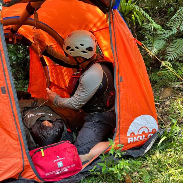 SA-TSS samonastavljivi sistem za stabilizacijo